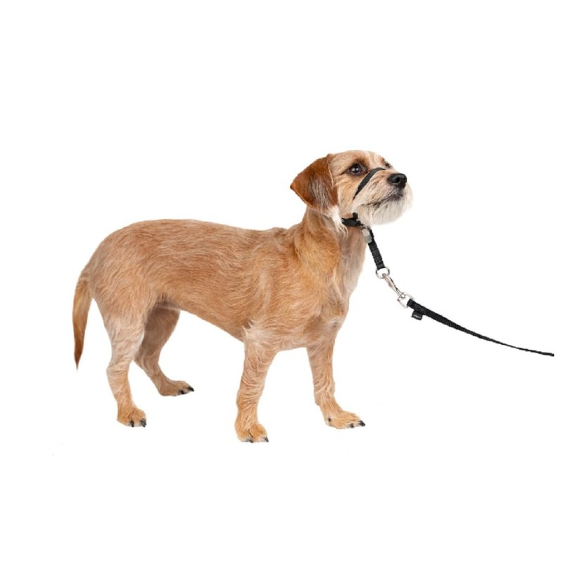Gentle Head Collar Dog Training Leader Anti Pull Walking Choose