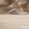 SHRINE Drop It BRONDE Toner Drops | Damage-Free Colouring |