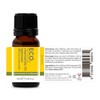 ECO. Modern Essentials Chamomile 3% (German) Essential Oil, 10ml