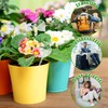 Haawooky 8 Pack Self Watering Globes,Clear Glass Plant Water Bulbs,Hand