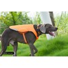 SGODA Dog Cooling Vest Jacket Cooler Orange Large