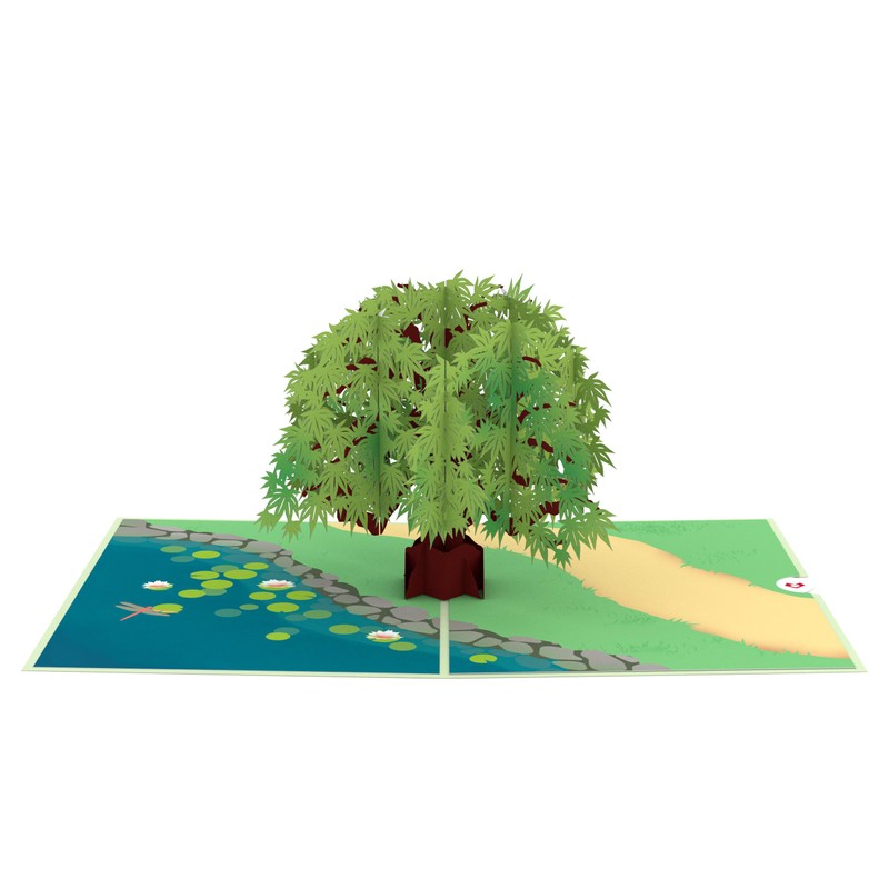 Lovepop Green Maple Tree