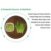 Santé Pure Barley New Zealand Blend- 60 Capsules