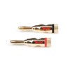 Teufel Banana Plugs C8502P Pair for Speakers – Gold, Black/Red
