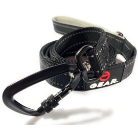 Heavy-Duty Dog Leash with Locking Carabiner – Reflective Nylon Lead with Padded Handle or Dual Traffic Handles – Perfect for Walking, Training, and Hiking Large, Medium, and Small Dogs (Black, 6')