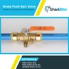 SharkBite 3/4 Inch Ball Valve with Drain Vent and Mounting