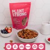 Crispy Mixed Berry Crumble Granola (4-Pack)