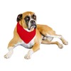 Balec Red Bandanas by Dozen 12 Pack for Women and