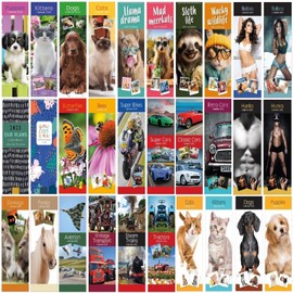 2025 Super Slim Month to View Spiral Bound Hanging Wall Calendar Home Office (Ponies)