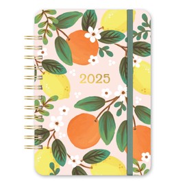Orange Circle Studio Do It All 2025 Weekly Planner, Fruit & Flora, 17-Month Wire-O Bound Calendar Book, Dotted Grid Week-Per-Spread View, To-Do Lists, Appointment, Budget, Goal Tracker for School/Work
