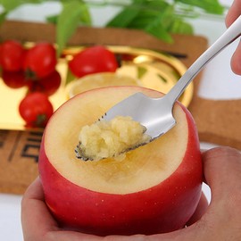 DOITOOL Stainless Steel Silver Grapefruit Spoons - Set of 6