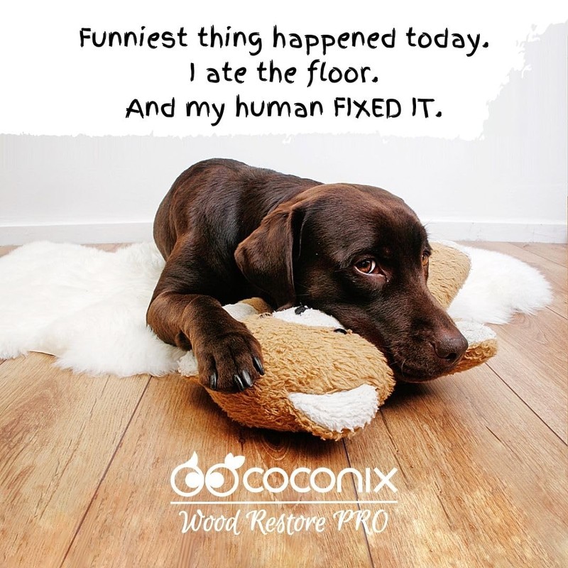 Coconix Floor & Furniture Repair Kit | Fix Scratches, Scuffs,