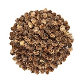 250PCS Christmas Pine Cones, Mini Pine Cones for Crafts, Bulk Natural Small Pine Cones for Christmas Tree, Thanksgiving, Pinecones for Decorating Fall Winter Christmas Wedding Decor Vase Filler Decor