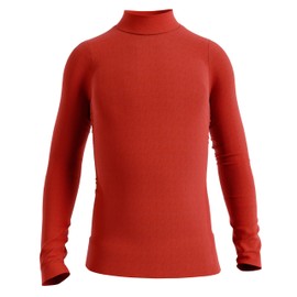 SF STEX FIT Stexfit Boys High Quality Cotton Turtleneck Jumper for Boys Long Sleeve Warm and Soft Turtleneck Jumper for Boys Ideal for Cold Winter - Size 12/15 Years, red