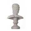 ZEUS Greek God of the Sky Greek Roman Bust Head