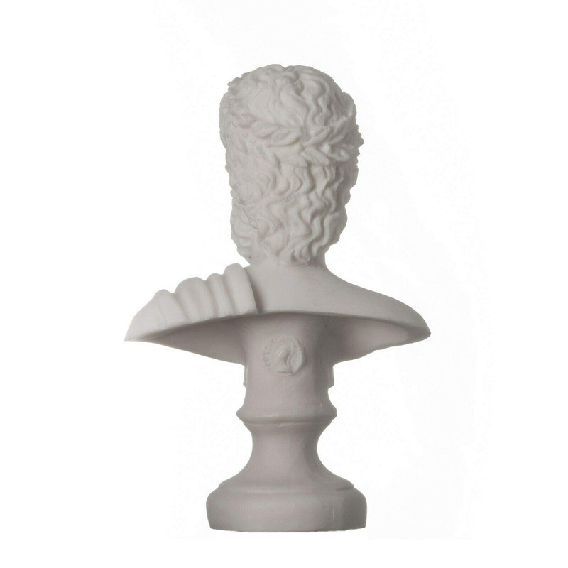 ZEUS Greek God of the Sky Greek Roman Bust Head
