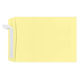 LUXPaper 9" x 12" Open End Envelopes for 8 1/2 x 11 Letters in 80lb. Lemonade, for Bulk Items, Inventory Items, Catalogs, and More w/Peel & Press, 500 pack (Lemonade)