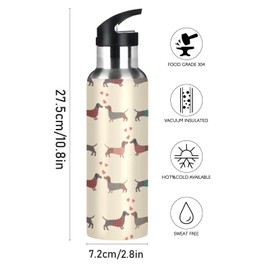 xigua Water Bottle with Straw Lid Leakproof Vacuum Insulated Stainless Steel Dachshund Dogs Pattern Sport Water Bottles 20 oz