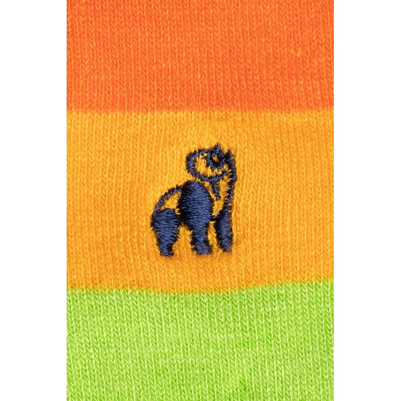 SWOLE PANDA Pride Stripe Bamboo Sock Bundle - Four Pairs