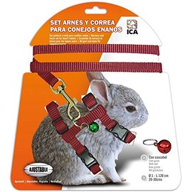 ICA DA1020 Dwarf Bunny Harness and Strap Set Red