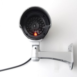 Dummy Dome Security Camera - Fake CCTV Surveillance with Warning Sticker Included