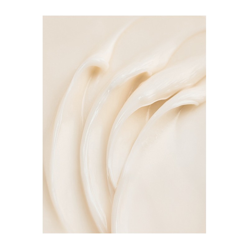 Timeless Layer Cream 50ml / 타임리스 레이어 크림 50ml