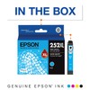 Epson 252 DURABrite Ultra Ink High Capacity Cyan & Black