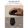 Elecom M-FBL01DBXSBK Wireless Mouse, Quiet, 5 Buttons, Medium, Black