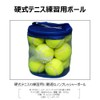 Tennis Practice Supplies Hard Tennis Ball Practice Ball 12P