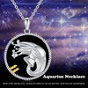 Twoowl Aquarius Necklace 925 Sterling Silver Constellation Pendant Necklace Zodiac