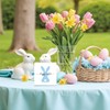 Rdtcgvss 4" X 4" Funny Easter Decor Desk Decor -