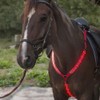 LED Horse Breastplate Collar High Visibility Tack For Horseback Riding