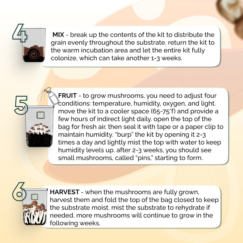 MycoHaus Mushroom All in One Growing Kit with Injection Ports