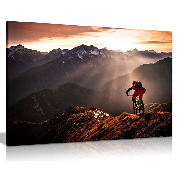 Panther Print Fine Art Prints Mountain Bike Sunset Adventure Artistic
