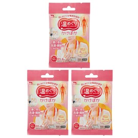 LEC Warm Warming Warmer, Hanging on Neck, Disposable Warmer, Pack of 3, Made in Japan