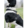 Brody The Dog heavy duty dog harness, for Medium and