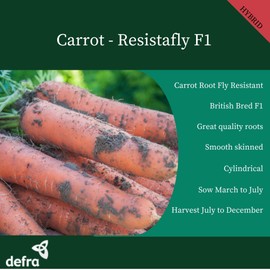 Premier Seeds Direct PREMIER SEEDS DIRECT - Resistafly F1 Carrot Seeds, Approx 1300 Seeds