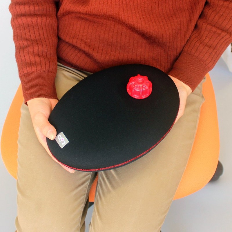 CLO'Z Soft Hot Water Bottle, Egg Shaped Type (Black)