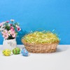 Ausejopeac 1/2 LB Easter Grass Crinkle Cut Paper Basket Filler