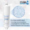 IT'S PURE EXPERT AP431 AP430SS Cartridge, Replacement for Aqua-Pure Whole