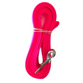 Carter Pet Supply 8 Ft Dog Leash 2 Ply USA Made Heavy Duty 1" Webbing Swivel Snap Alabama Made - Lime Green