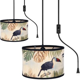 Bioaqua 2 Piece Boho Hanging Lamp,Hanging Lights with Plug in Cord （15ft）,Macrame Bamboo Pendant Light with Pattern,Bohemian Hanging Lights for Bedroom Living Room Decor Bamboo lamp Shade Kitchen