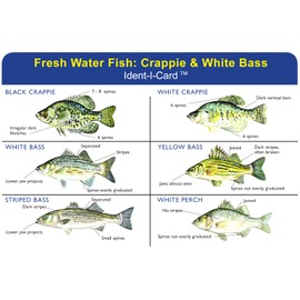 Crappie & White Bass Ident-I-Card - Freshwater Fish Identification Card