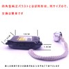 D4/D2 Ballast D4S/D4C/D4R/D2S/D2C/D2R Type A Car Inspection Compatible with DC