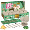 Jokooan Dinosaur Eggs, 12 Pieces, Dino Egg Excavation Set, Easter