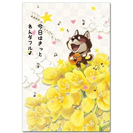 Good Weather Today Postcard "Wonderful" Cheering Message Postcard