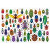 Educa - 500 Piece Jigsaw Puzzle for Adults | Beetles