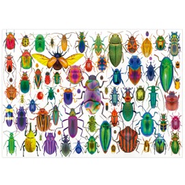 Educa - 500 Piece Jigsaw Puzzle for Adults | Beetles Includes Fix Puzzle Glue. Dimensions: 48 x 34 cm. Ages 11 and up (20252)