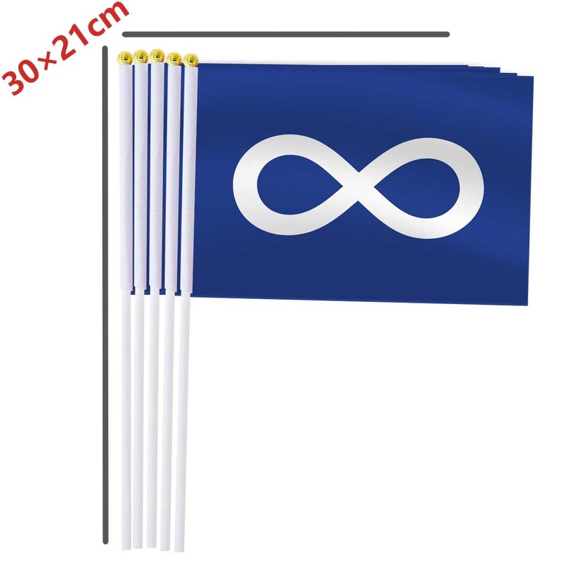 10 Pack Metis Handheld Small Flag,Mini Metis Hand Held Miniature