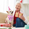 Birthday Hat Scarf Set for Small Dogs and Cats, Bandana
